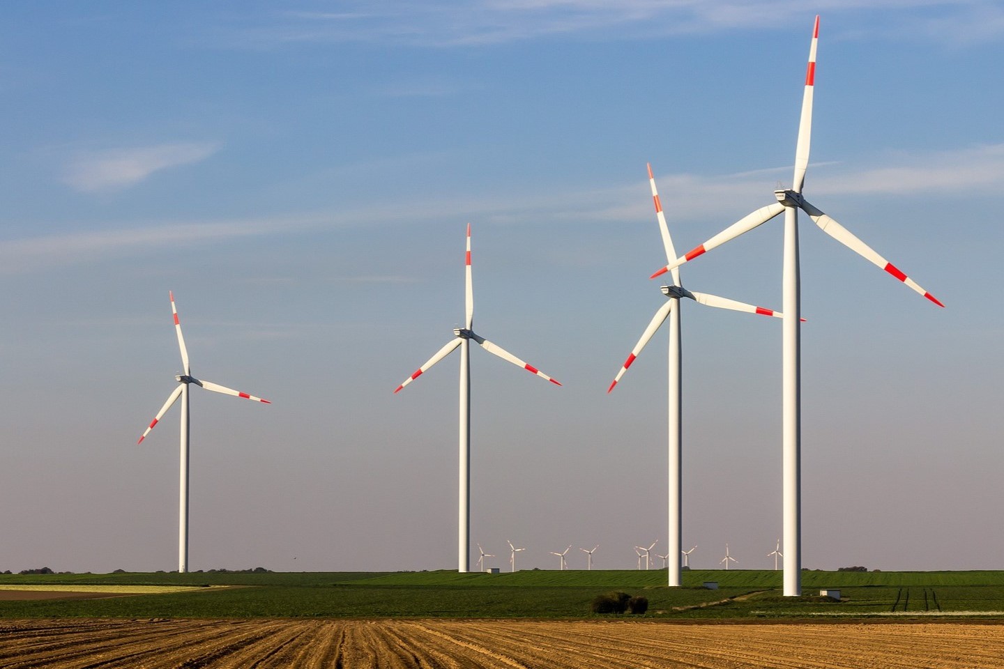 Pressekonferenz zur Energiewende in Niederösterreich mit GLOBAL 2000: Mutige Klimaschutzpolitik gewünscht